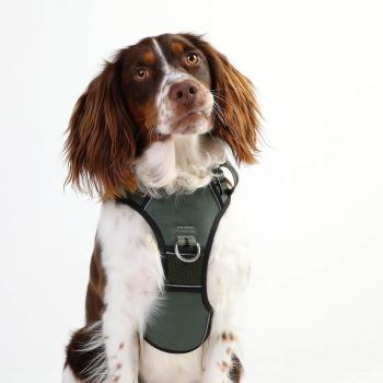 DOOG Neotech Harness Green Gr. XL
